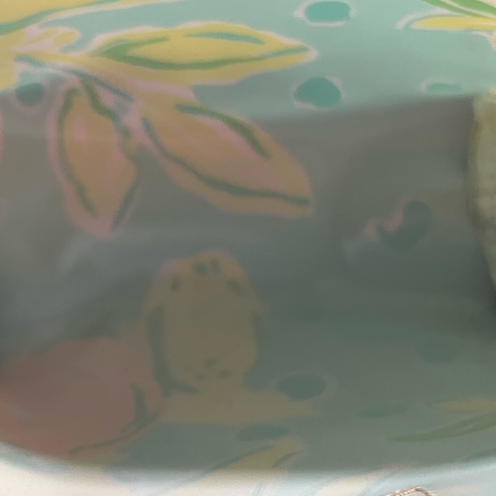 Lily Pulitzer for Estee Lauder - NWOT Tropical Print Pouch - Picture 3 of 3